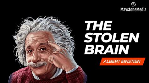 How Albert Einstein S Brain Was Stolen After His Death The Stolen Brain Youtube