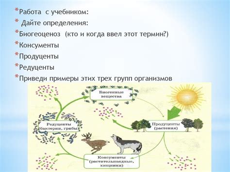 Естественные сообщества живых организмов, компоненты биогеоценозов. 11 ...