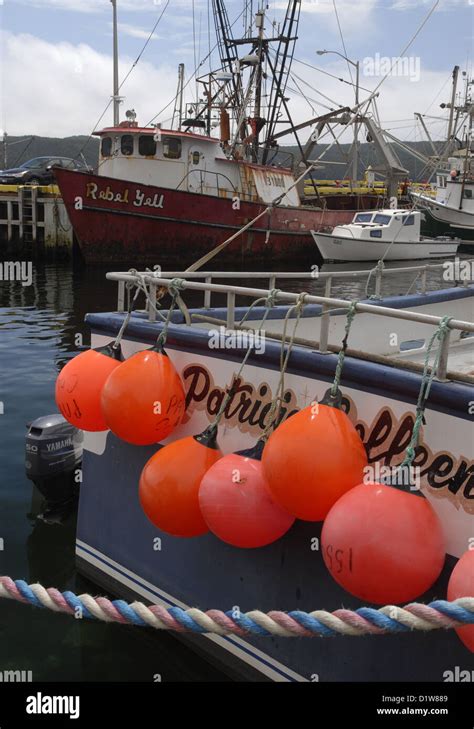Fishing Boats In The Harbour Dildo Newfoundland Stock Photo Alamy