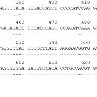 Alignment Of The Exon 3 Sequence Of HLADQB1 03 03 02 01 With The