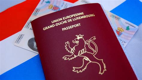 The 10 Most Powerful Passports In The World 2024 Wealthy Gorilla