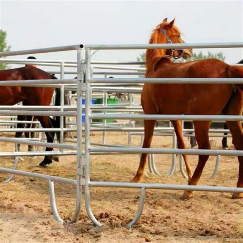 Round Pen Cattle Panels Corral Panels Livestock Panel For Ranch