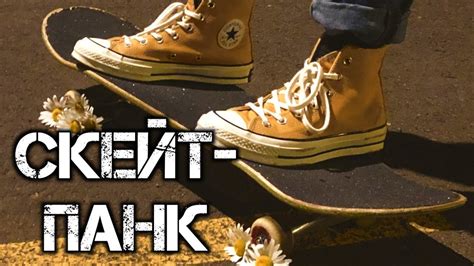 СКЕЙТ-ПАНК. Коротко о главном #философия #анархист #панк #скейт # ...