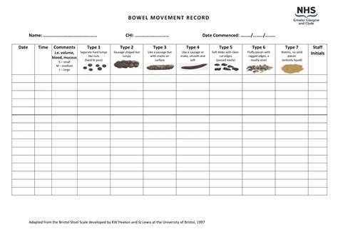 Bowel Movement Record Sheet Download Printable Pdf Templateroller