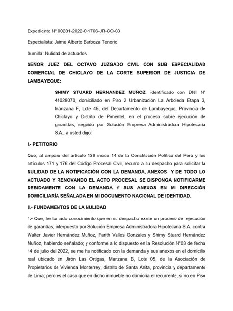 Nulidad De Actuados Pdf Demanda Judicial Gobierno