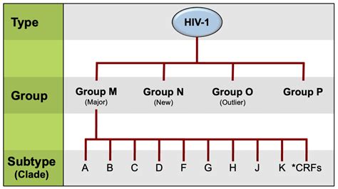 Question 11 Epidemiology Of HIV Question Bank National HIV Curriculum