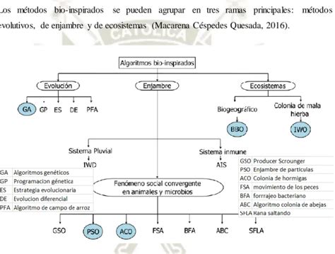 Tiempo De Asentamiento Ts El Tiempo De Asentamiento Es El Tiempo Que