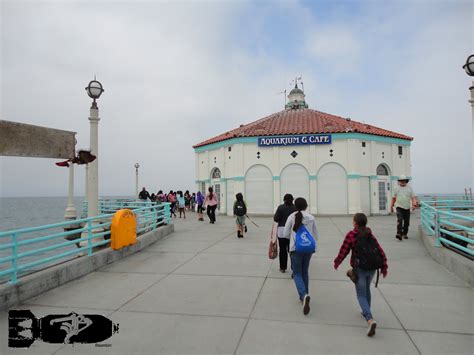 B S O M B I N The Roundhouse Aquarium In Huntington Beach