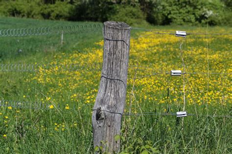 How to Electrify a Wire Fence: The Complete Guide – Fence Frenzy