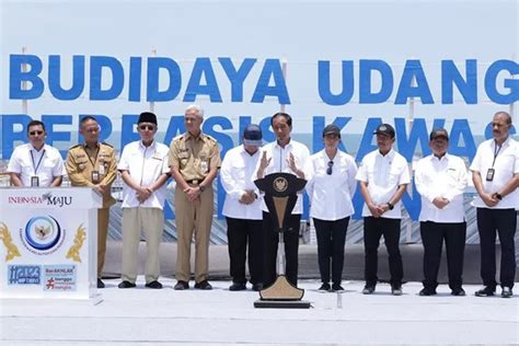 Resmikan Tambak Udang Modern Hektare Di Kebumen Presiden Joko