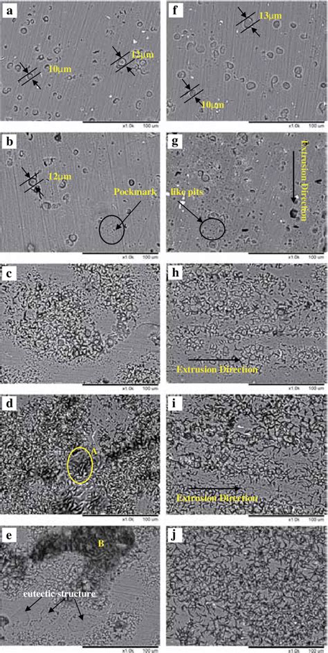 SEM Images Of The Specimen Surfaces After Removal Of The Corrosion