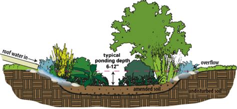 Rain Garden Usare Il Verde Contro Allagamenti Ed Erosione Parte 2