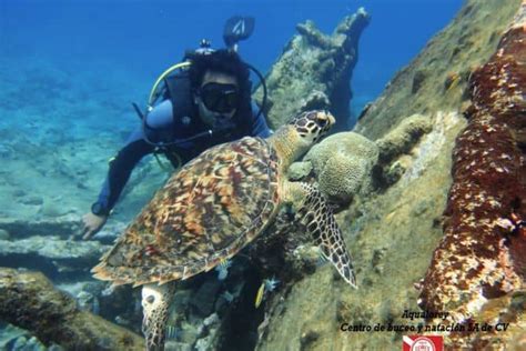 Isla De Lobos En Veracruz Qué Hacer y Costos En 2024