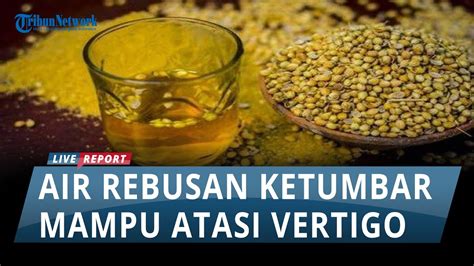 Minum Air Rebusan Ketumbar Dapat Atasi Vertigo Cara Mengolah Dan