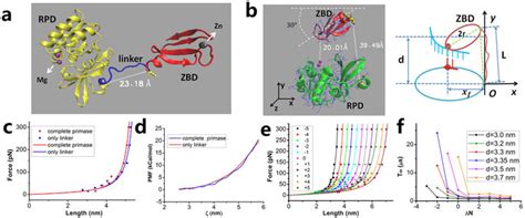 Structures Schematic Diagrams And Results For T7 Primase A Crystal Download Scientific