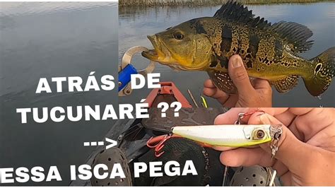 Essa Isca Faz Toda Diferen A Na Sua Tralha De Pesca Pescaria De