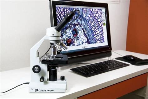 9 Best Digital Microscopes Fall 2023 The Complete Guide