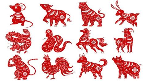 The Chinese Zodiac Signs And Their Meaning Explained The Sunday Mail