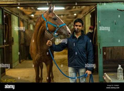 Racehorse And Keeper Stock Photo Alamy