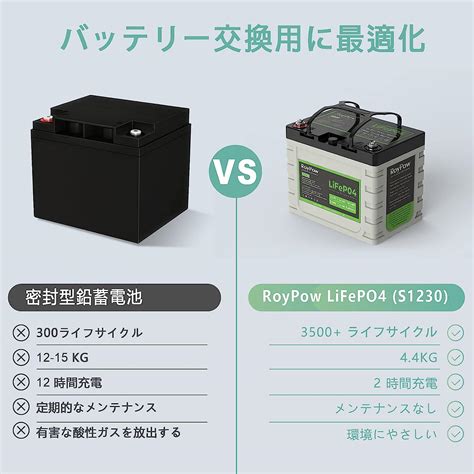 Roypow 12v 12ah リン酸鉄リチウムイオンバッテリーlifepo4 電動リール用バッテリー 3500サイクル Bmsバッテリ