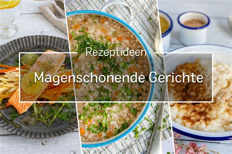 Magenschonende Gerichte Rezepte Mittagessen Abendessen