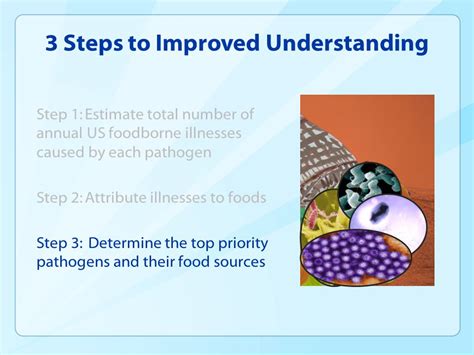 ESTIMATING THE SOURCES OF FOODBORNE ILLNESS IN THE UNITED STATES Ppt