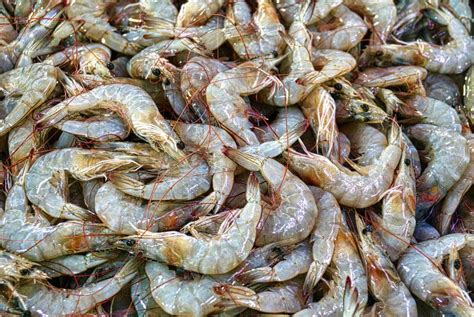 Resep Bola Udang Goreng Krispi