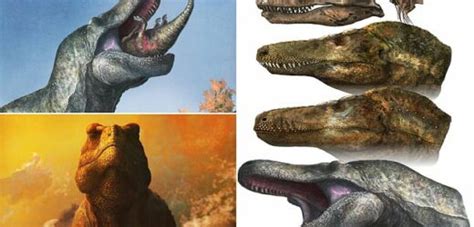 Trex Did Not Have Exposed Teeth It Had Scaly Lizard Like Lips Big