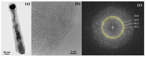 Materials Free Full Text Oxidation Of MBE Grown ZnTe And ZnTe Zn