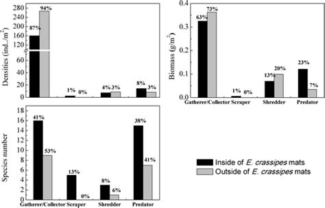 Functional Feeding Groups Of Benthic Macroinvertebrates Inside And