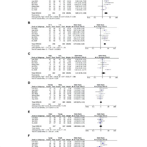 Forest Plots Assessing The Association Between BBOX1 AS1 Expression And