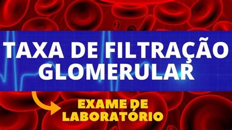 C Lculo Eficiente Da Filtra O Glomerular Actualizado Noviembre