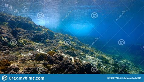 Rays Of Light In An Underwater Landscape Stock Photo Image Of Bottom