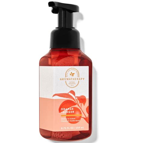 Bath Body Works BBW 泡沫慕斯洗手液柑橘薑汁Orange Ginger 259ML PChome 24h購物