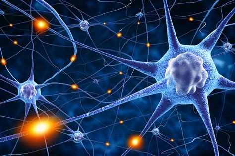 nerve support integrated health clinic