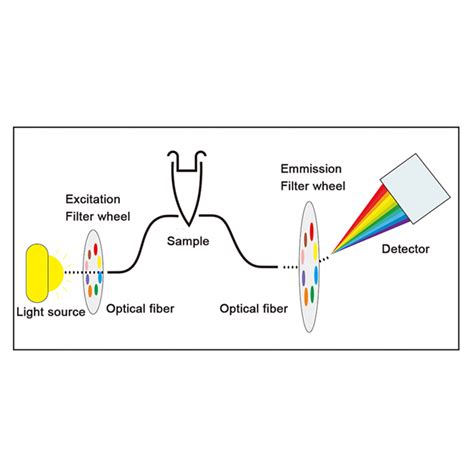 Fluorescent Quantitative Pcr Detection System Buy Biobase