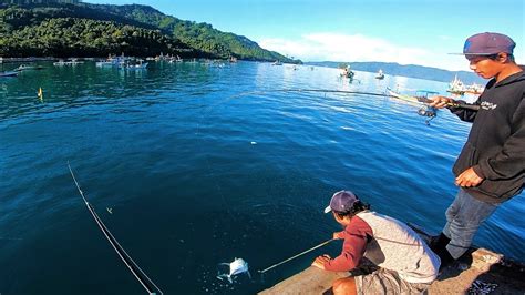 BIKIN PANIK MANCING DI DERMAGA STRIKE BANYAK IKAN CASTING