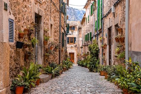 Callejón empedrado con plantas en macetas en medio de edificios en el