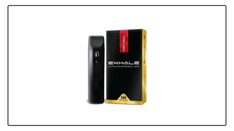 Best Delta 8 Disposable Vape Pens In 2021 • Vape Hk