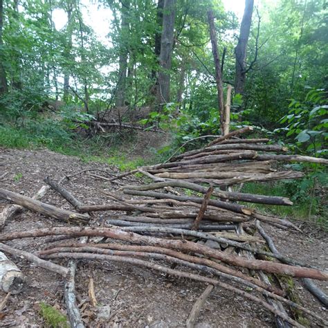 Pari Kinderwelten Das Wandern Ist Des M Llers Lust