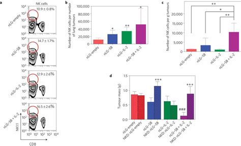 Role Of NK Cells In Tumour Immunotherapy After Combination Delivery