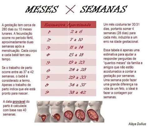 An Info Sheet Describing The Different Types Of Livers And Their