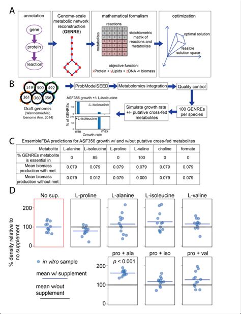 A Process For Generating And Applying A Genome­scale Metabolic Network Download Scientific