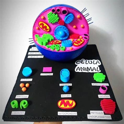 10 Awesome Ways To Make A Cell Model Artofit