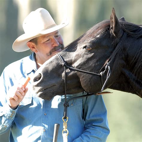 Pats Natural Hackamore Parelli Natural Horsemanship