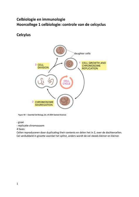 1 Controle Van De Cel Cyclus Celbiologie En Immunologie