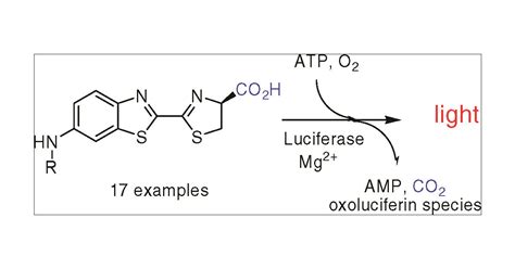 N Alkylated Aminoluciferins Are Bioluminescent Substrates For Ultra