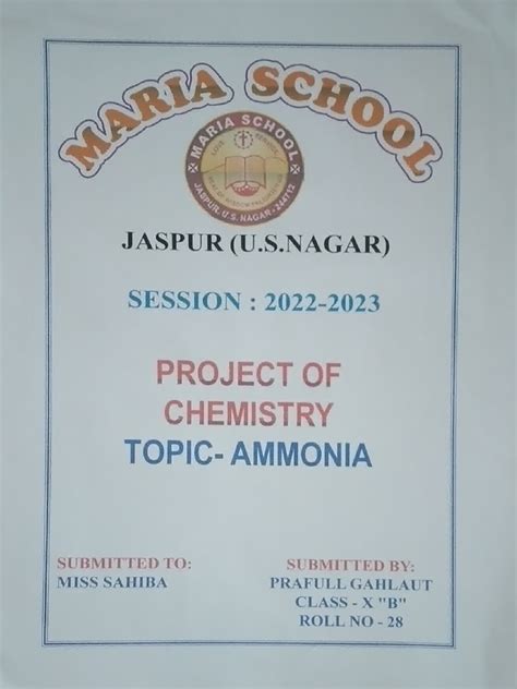 Project File Front Page | PDF