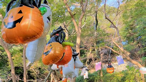 【河内長野市】この秋は本物のハロウィンで盛り上がろう！10月10日はラブリーホールでイベント開催（奥河内から情報発信） エキスパート