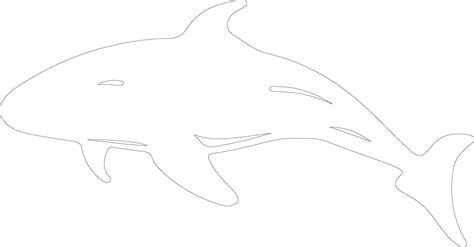 right whale outline silhouette 38488581 Vector Art at Vecteezy